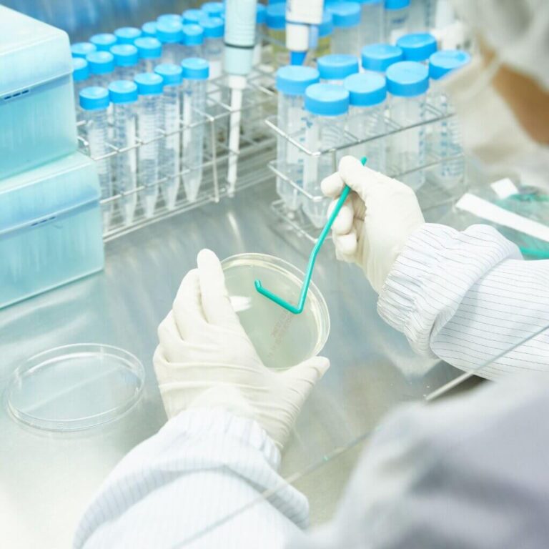 Product Testing Lab Services for Car Paint Quality & Durability – Kiyo ...
