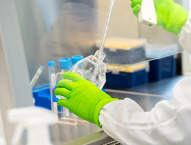 Best Raw Material Testing Laboratory in Chennai – Kiyo R&D LAB