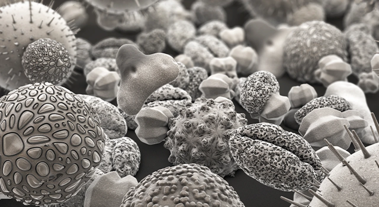 Scanning Electron Microscopy Analysis in Oragadam | Kiyo R&D Center & Laboratory