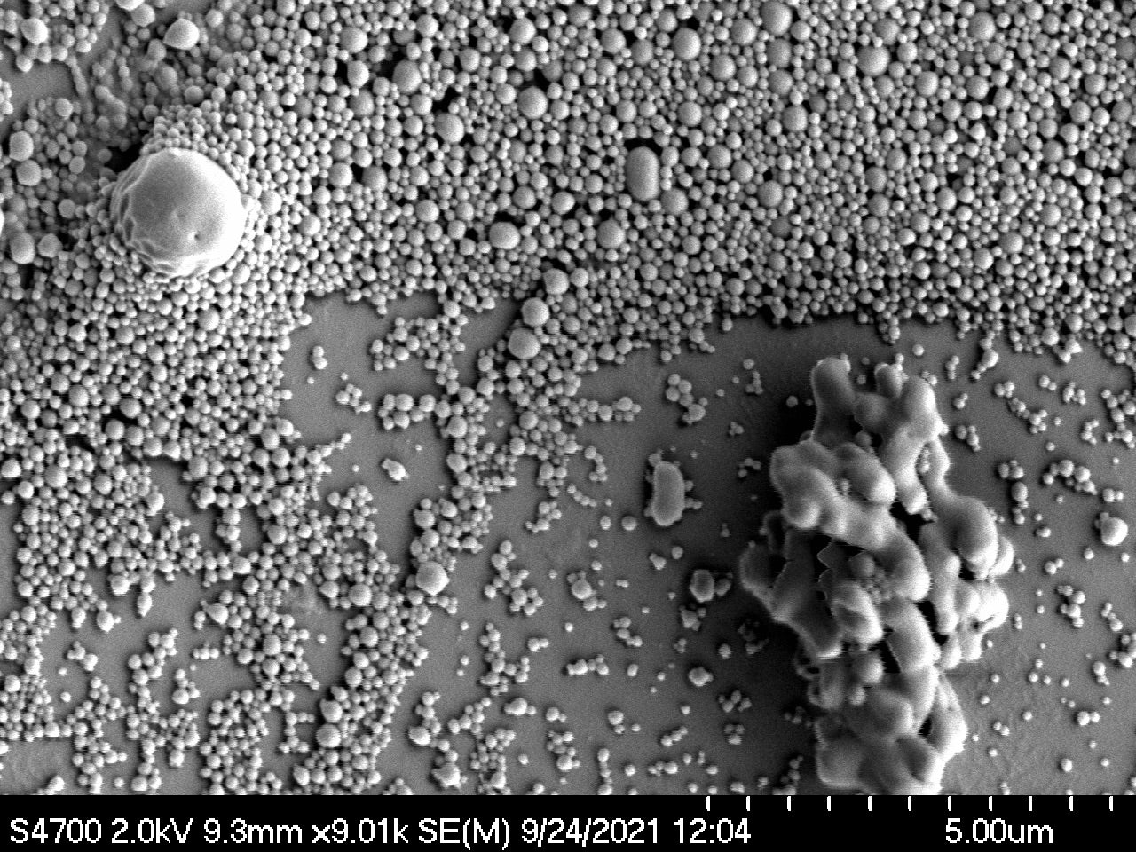 Scanning Electron Microscopy Analysis in Oragadam | Kiyo R&D Center & Laboratory