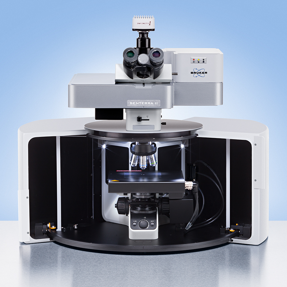 Raman Instrument Analysis in Chennai, Tamilnadu | Kiyo R&D Lab